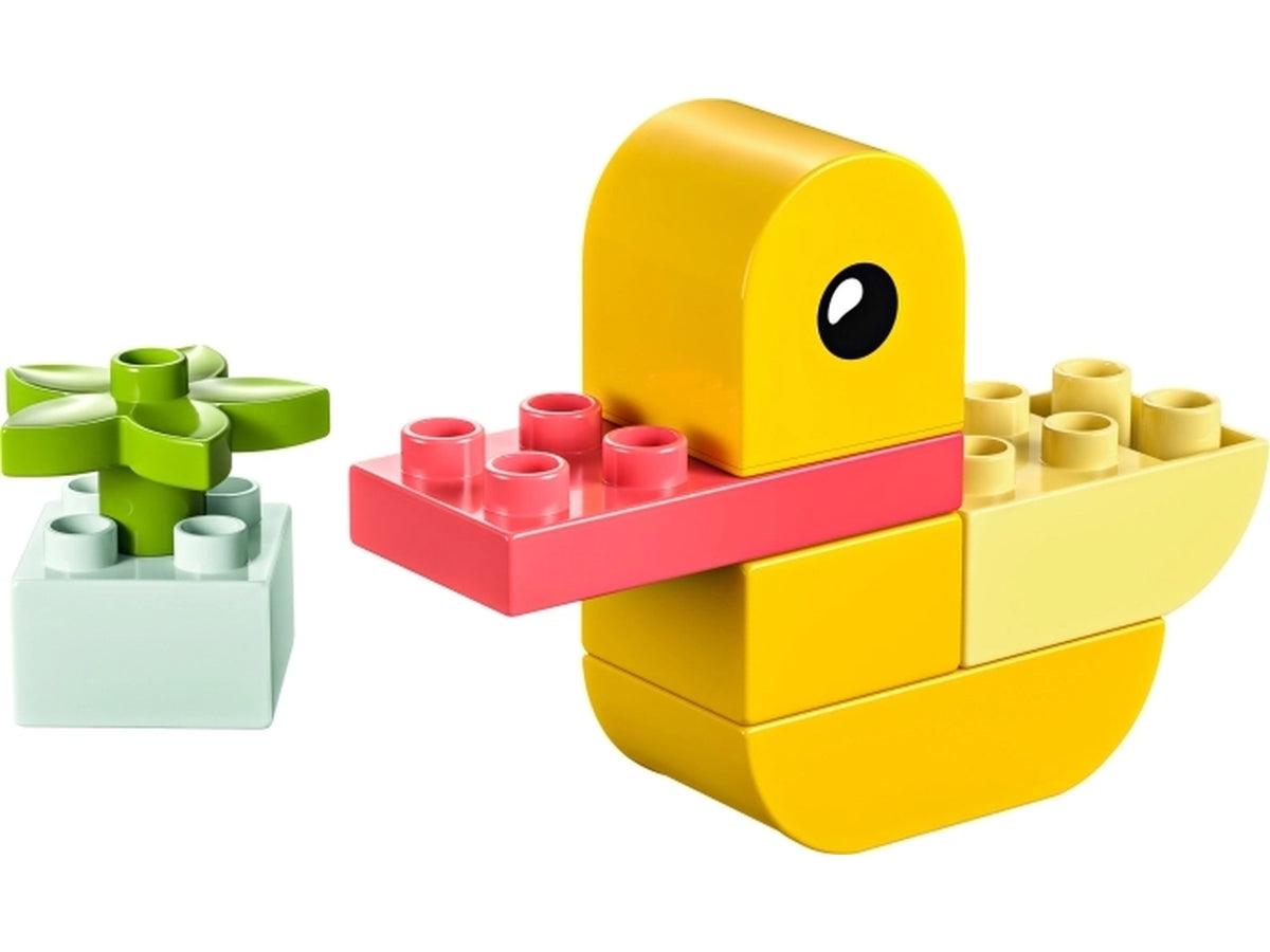 Lego duplo la mia prima anatra $