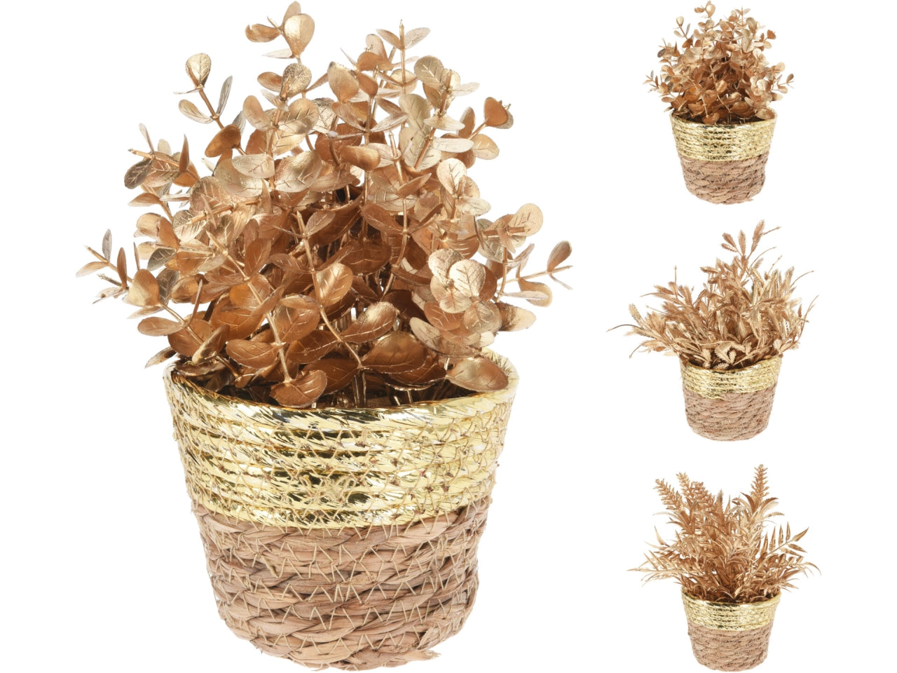 Pianta in vaso di paglia oro 20cm in 3 assortimenti