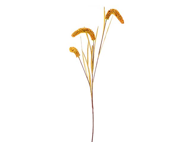 Spiga arancio 93cm a24045