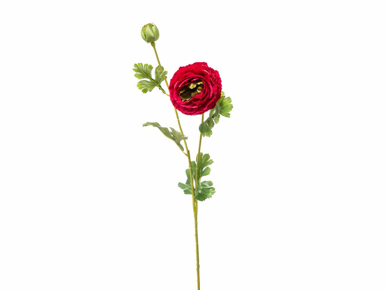 Fiore di ranuncolo x 2 colore beauty h.74cm