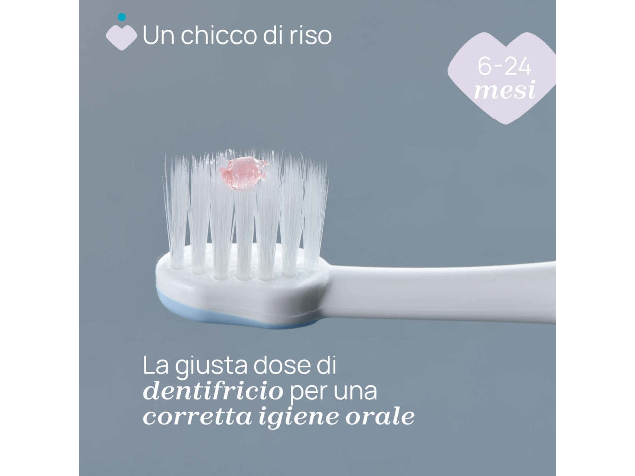 Spazzolino primi denti Oral Care Chicco con setole ultra morbide e impugnatura ergonomica azzurro, 6-36 mesi