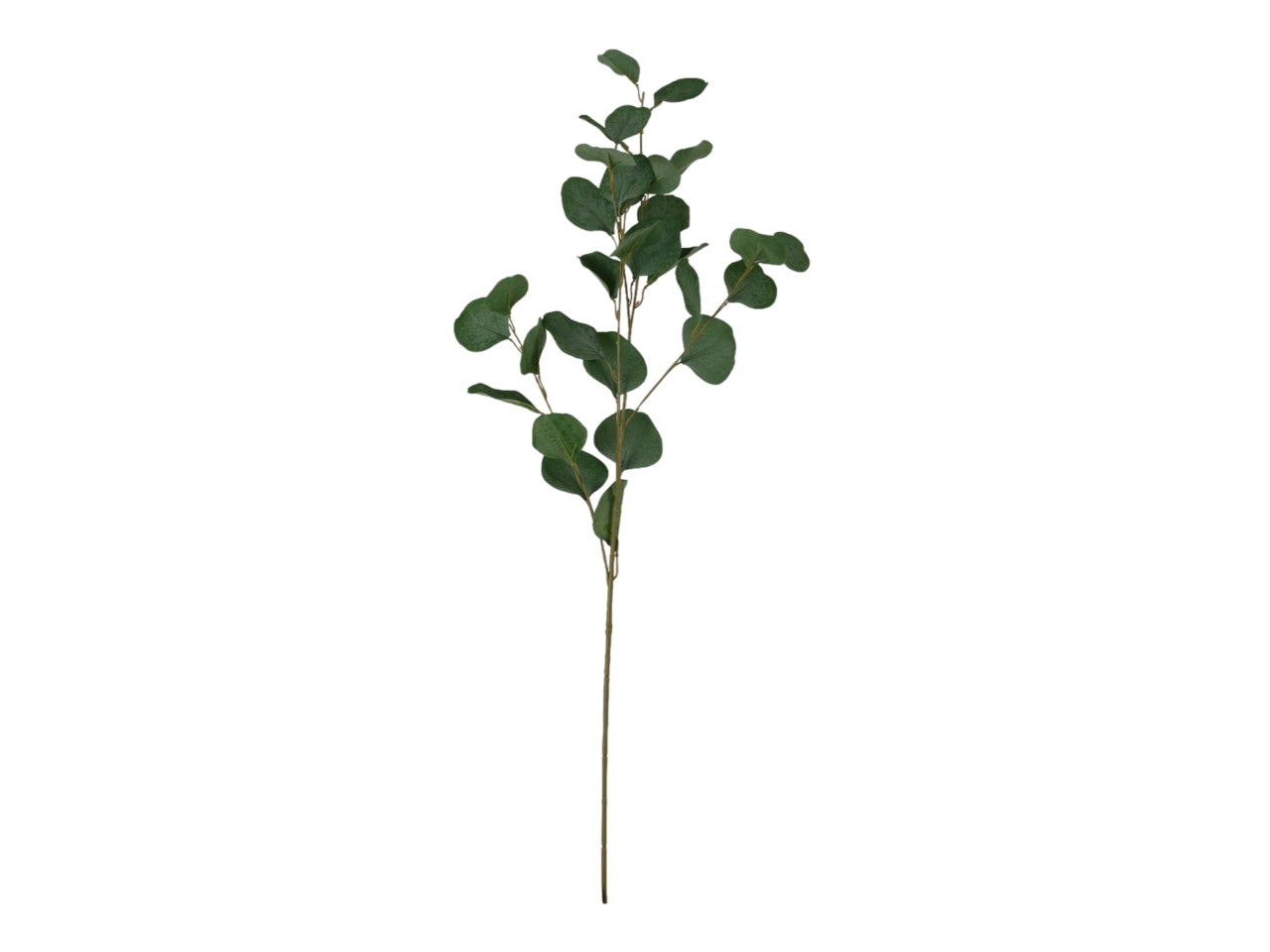 Ramo eucalypto h.90cm verde