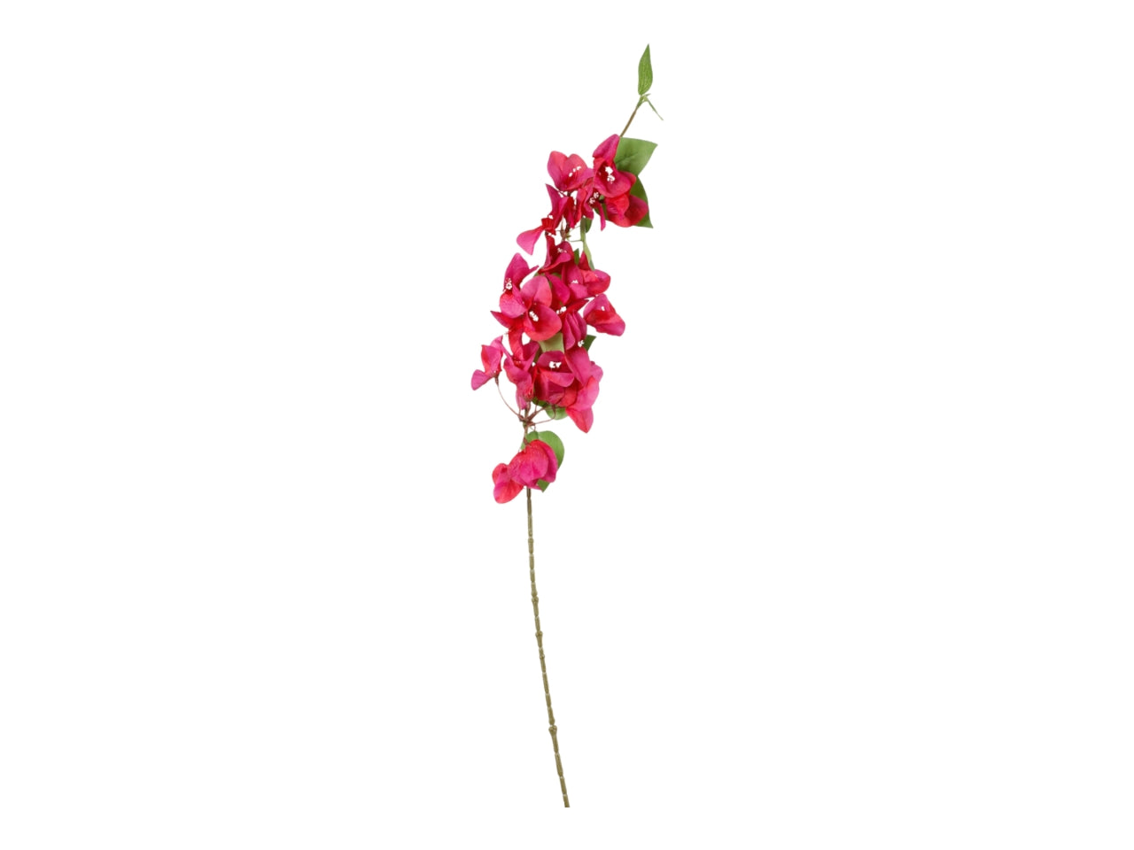 Ramo boungaville 80cm fucsia