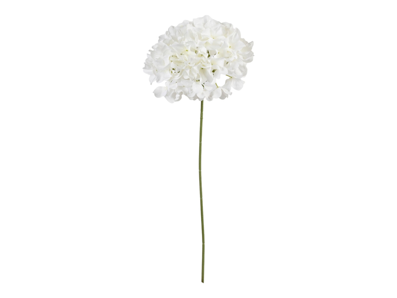 Ortensia ramo singolo 76cm bianco