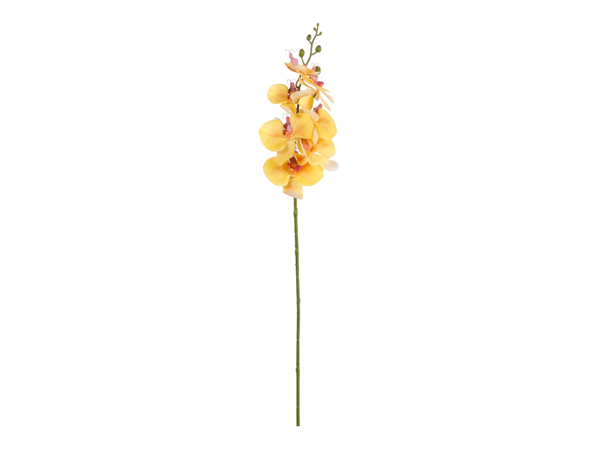 Ramo di phalaenopsis 85cm giallo