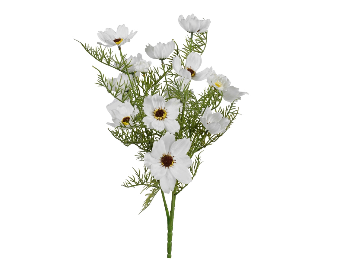 Mazzetto con 15 cosmos bianco