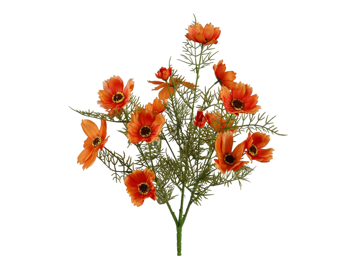Mazzetto con 15 cosmos arancione