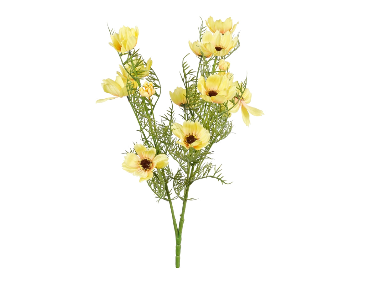 Mazzetto con 15 cosmos giallo