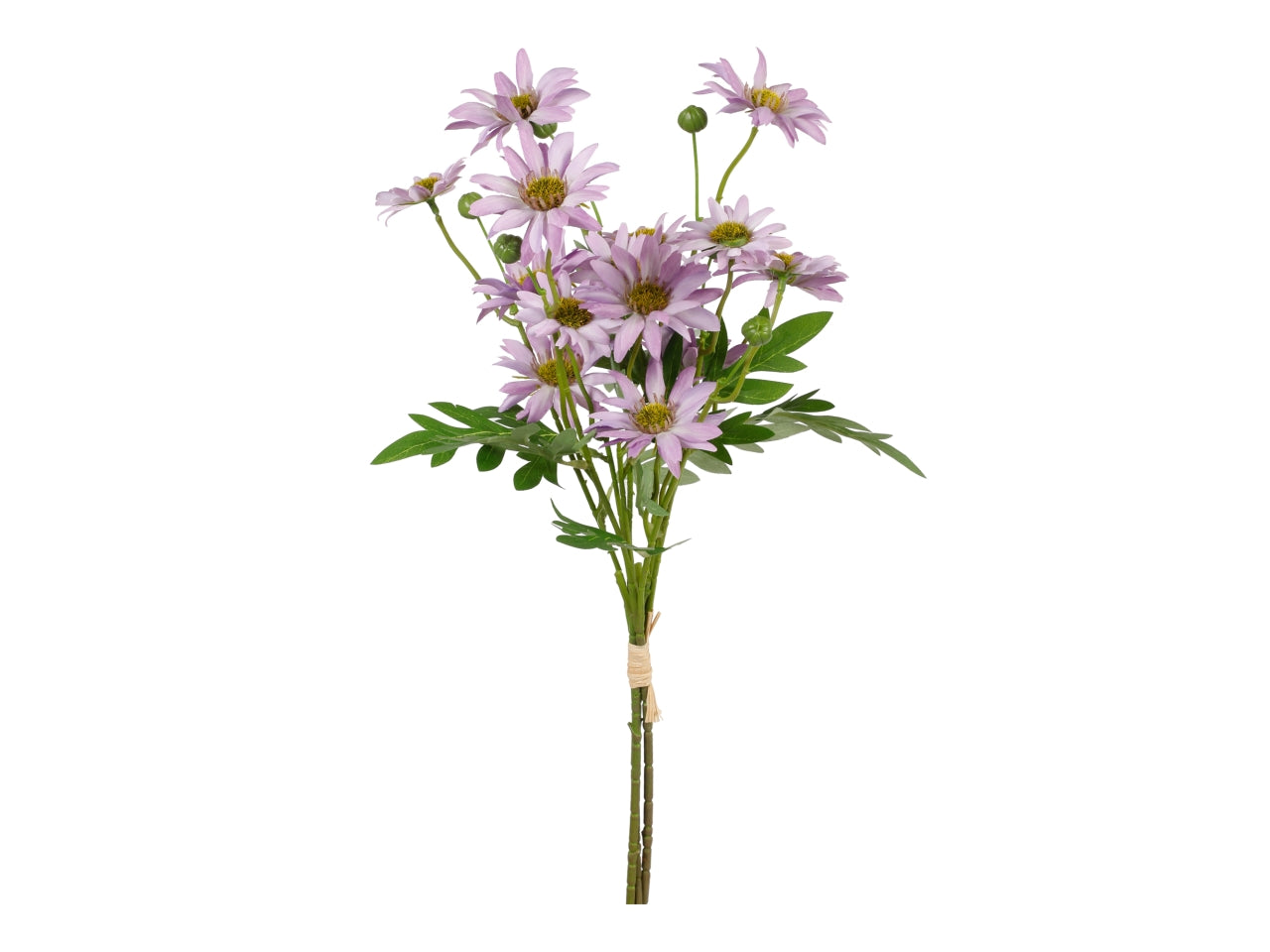 Mazzetto con 3 rami di astro lavanda