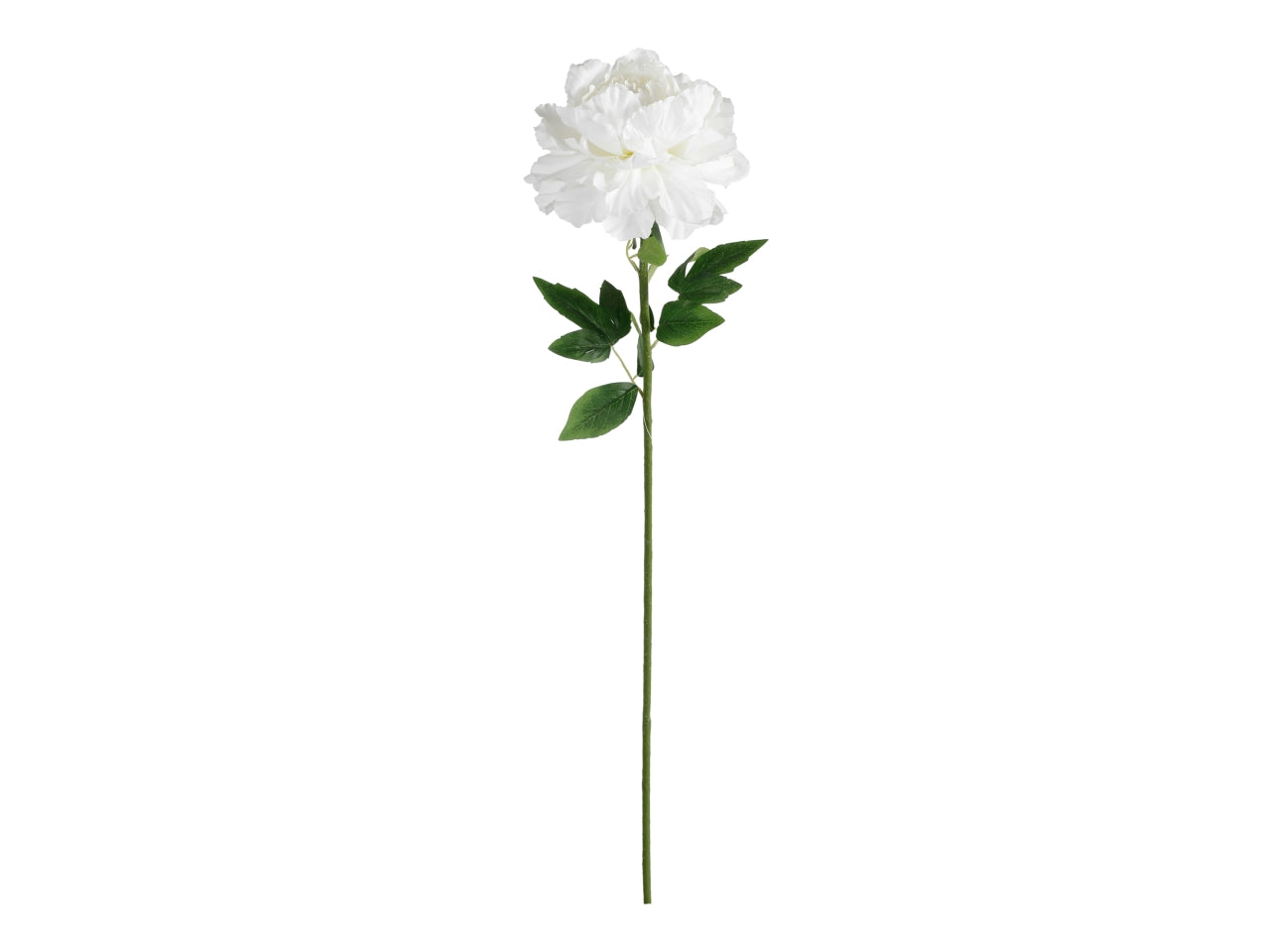 Peonia ramo singolo 100cm bianco