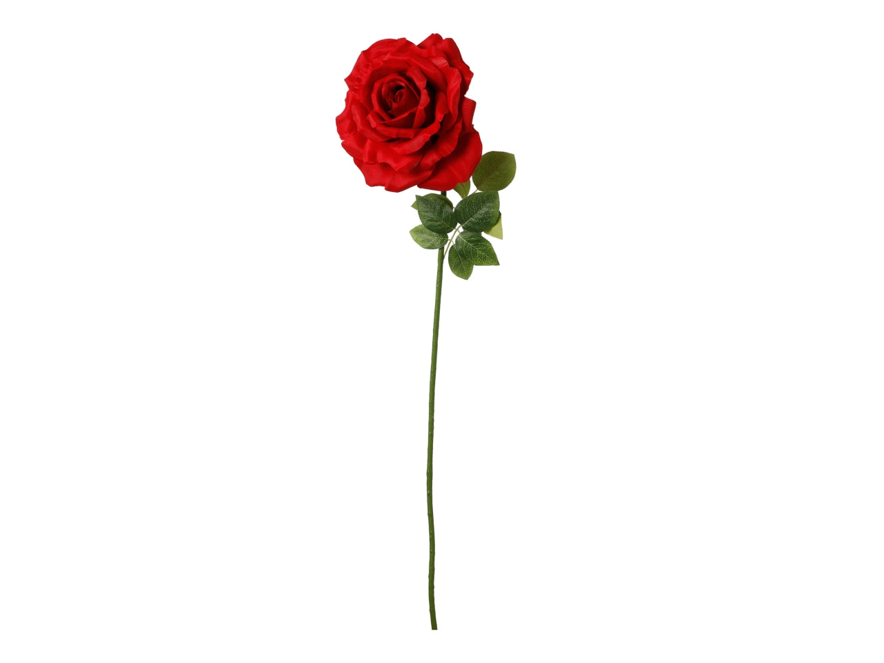 Rosa ramo singolo 100cm sfumata rosso