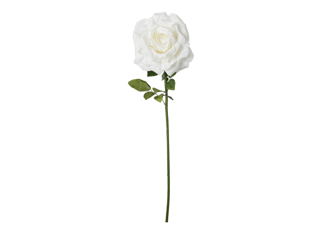 Rosa ramo singolo 100cm bianco