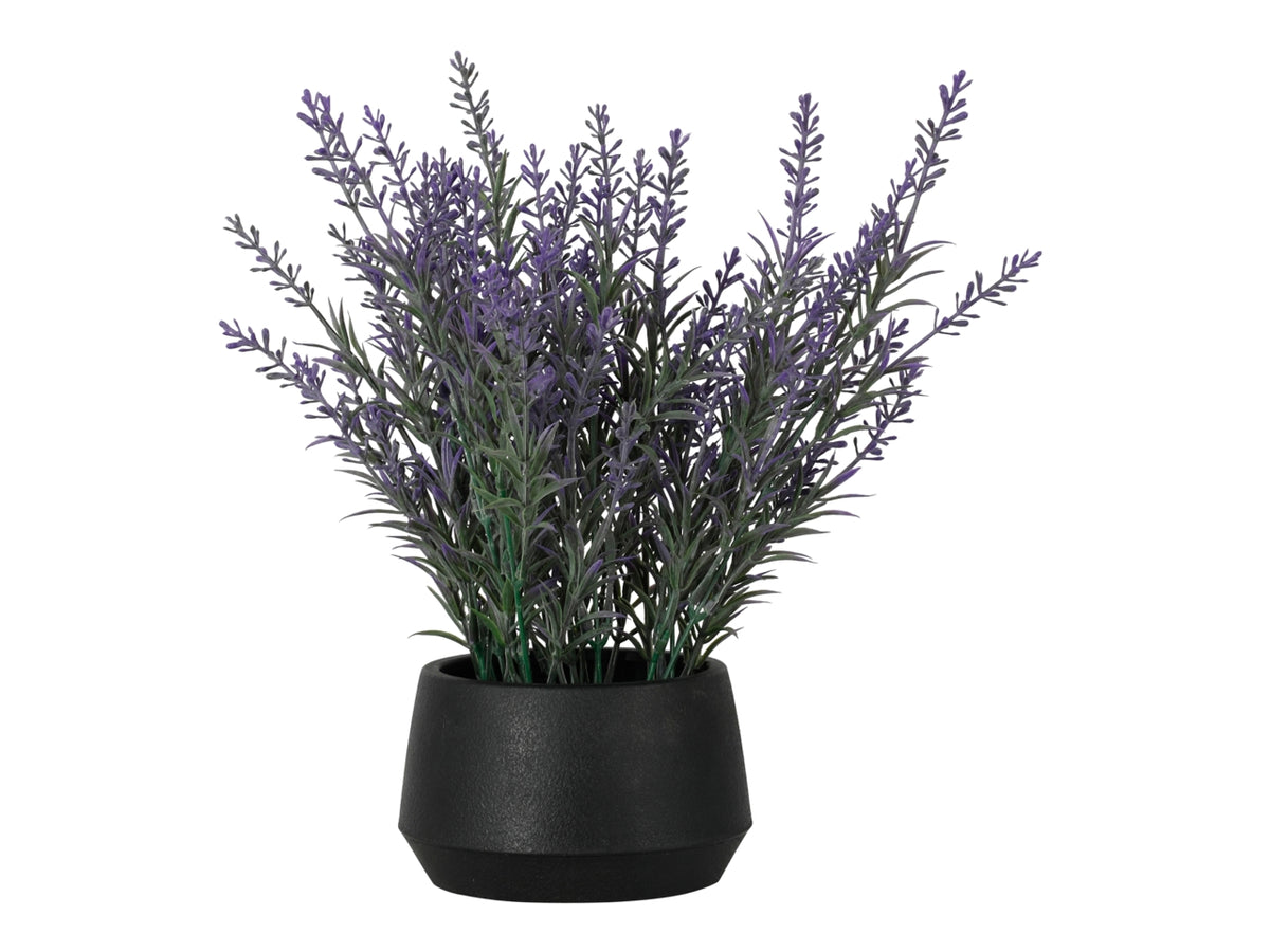 Vaso con lavanda