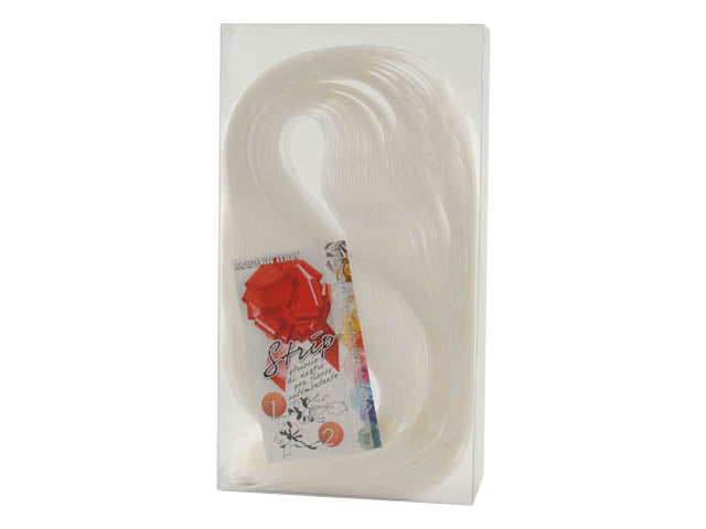 Nastro tipo e 2100 strip 31mm di colore bianco la confezione contiene 30 nastri
