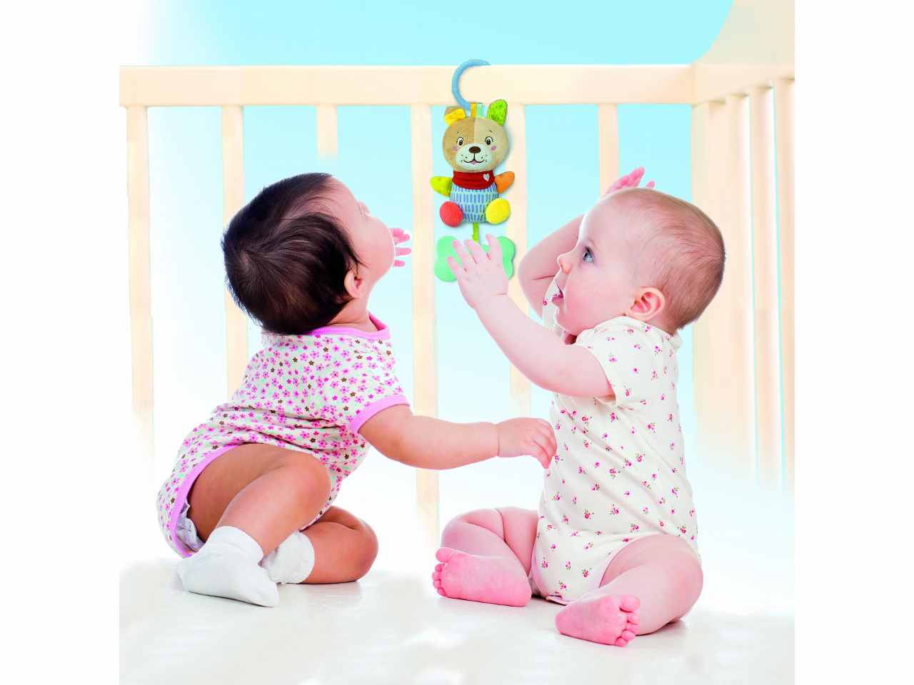 Soft dog rattle
