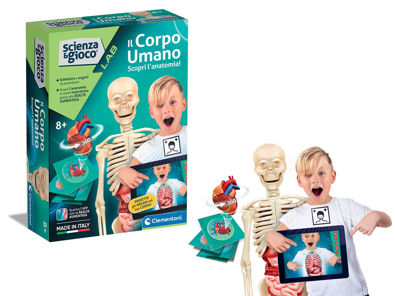 Scienza&gioco lab corpo umano