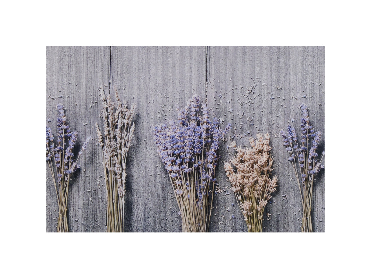 Tappeto happy misura 50x100cm francia