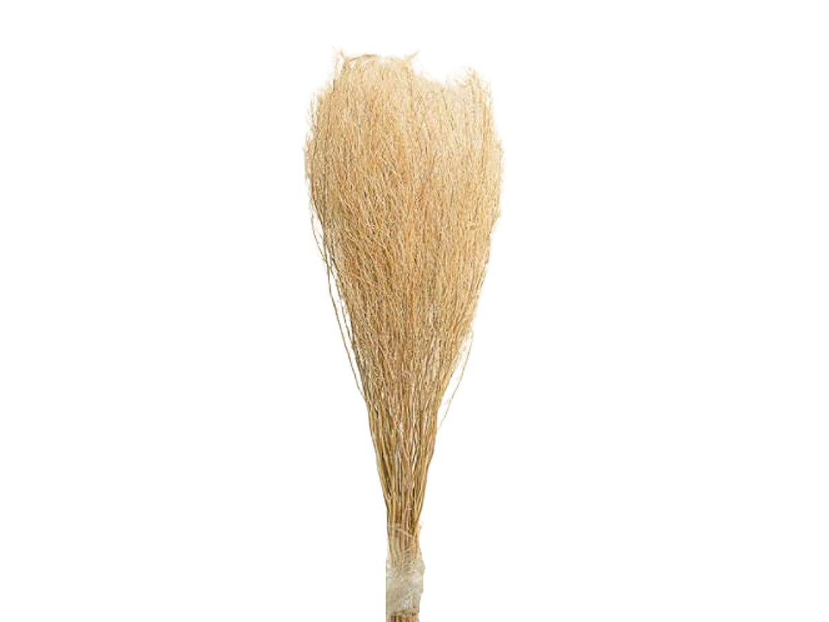 Ramo erba13x84cm natural 2sv2013