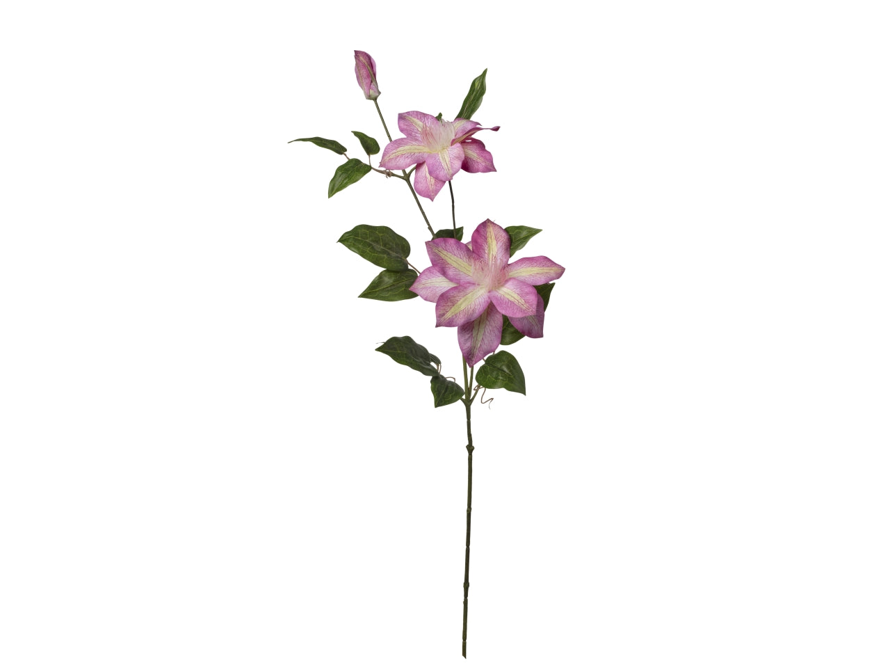 Ramo con 3 clematis 22x86cm color beauty