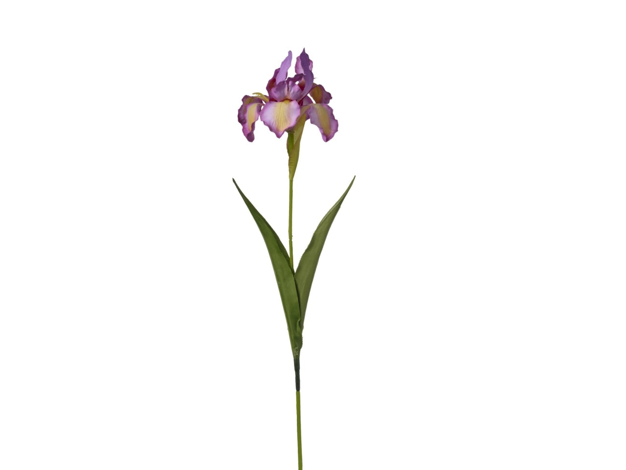 Ramo iris mauve 63cm