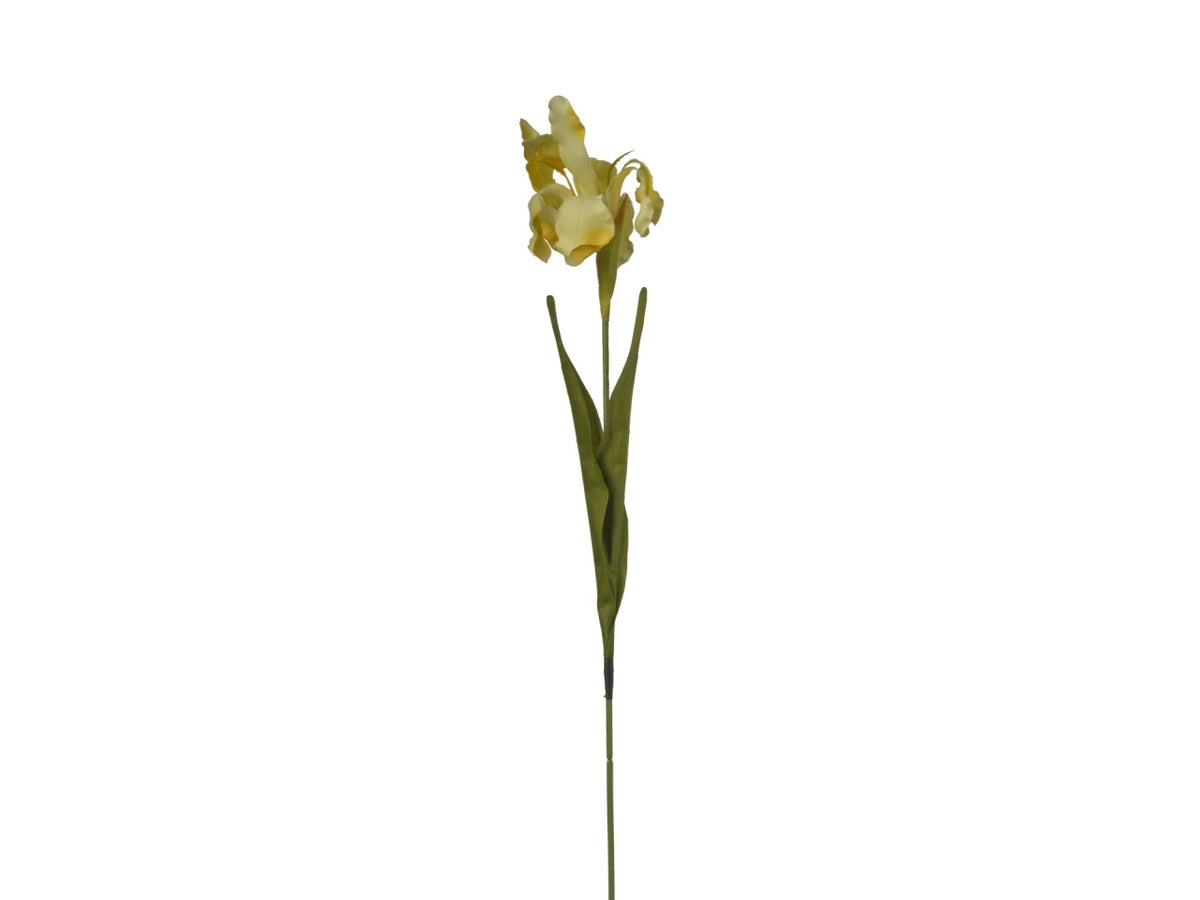 Ramo iris giallo 63cm