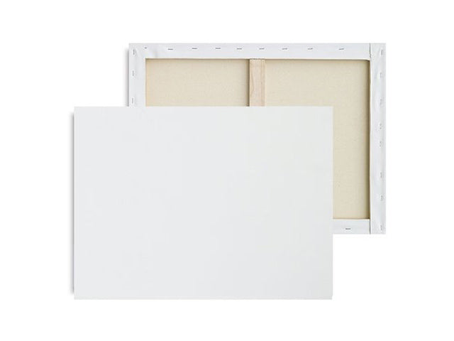 Quadri da dipingere in tela bianca 380gr 35x50cm