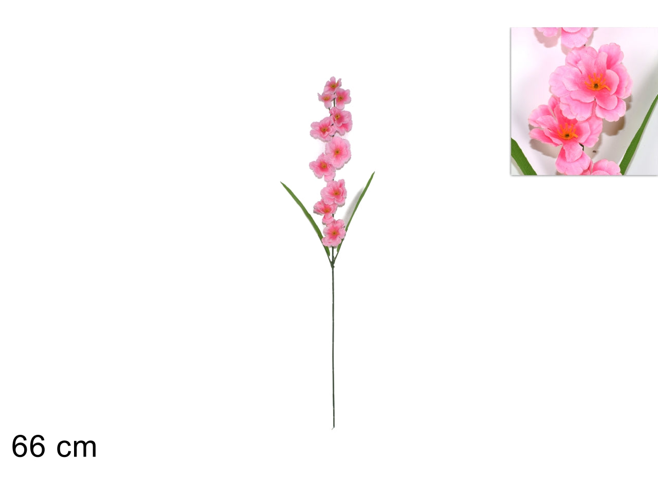 Stelo fiori pesco