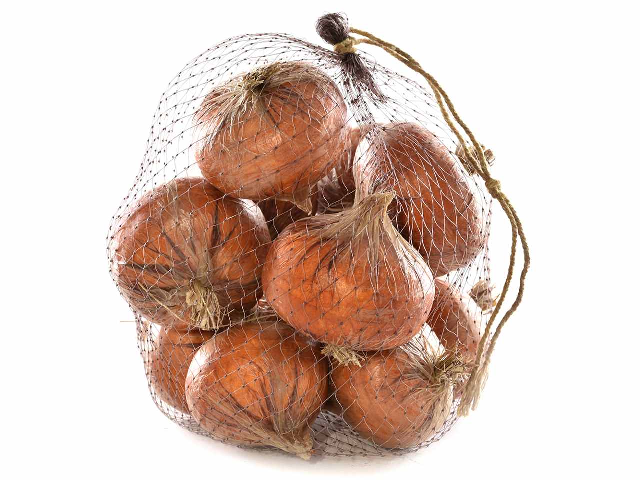Cipolla 12pezzi