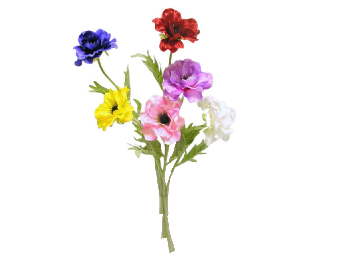 Anemone singolo spruzzato 44 cm di colore assortiti