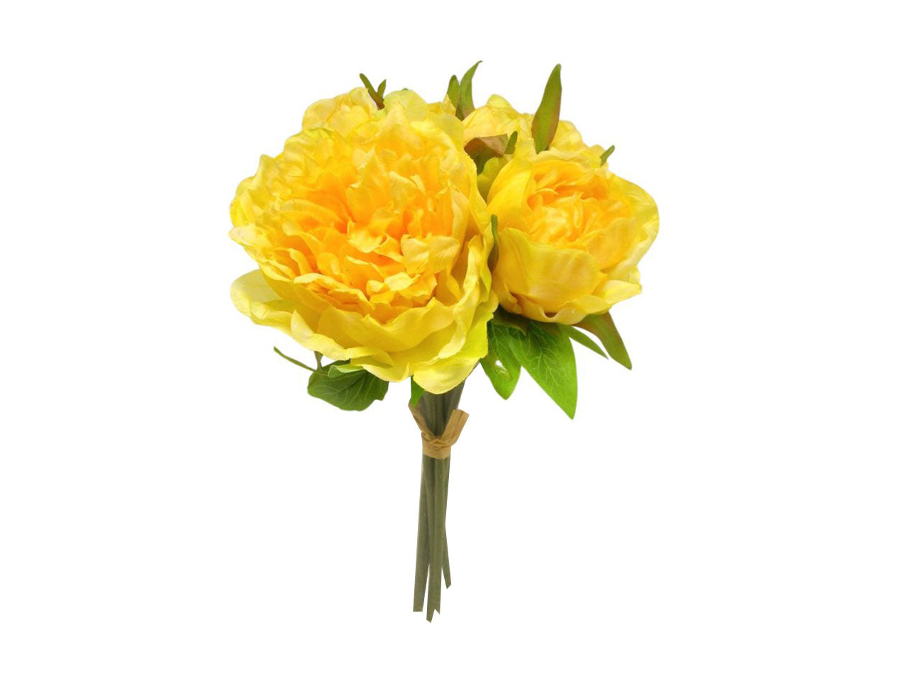 Peonia mazzo giallo