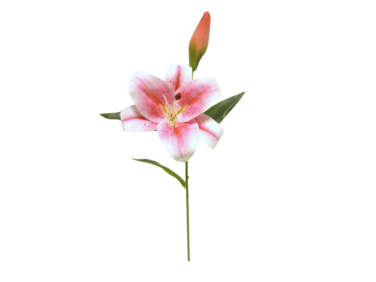 Ramo giglio spruzzata 1 fiore e 1 gemma rosso