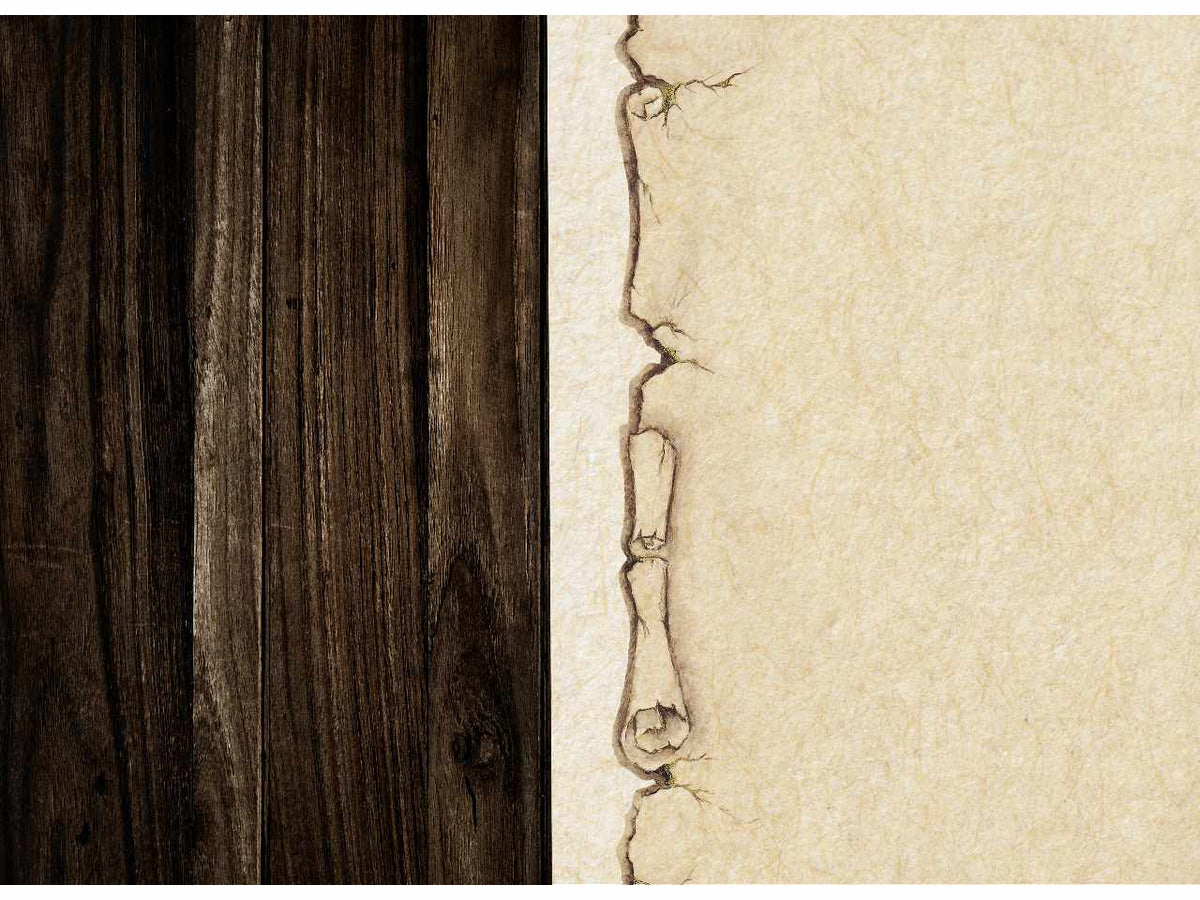 Diplomi misura 21x29,7 con stampa a caldo - la confezione comprende 10 diplomi
