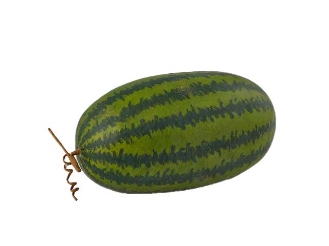 Anguria lunga h28xd15 257235,70