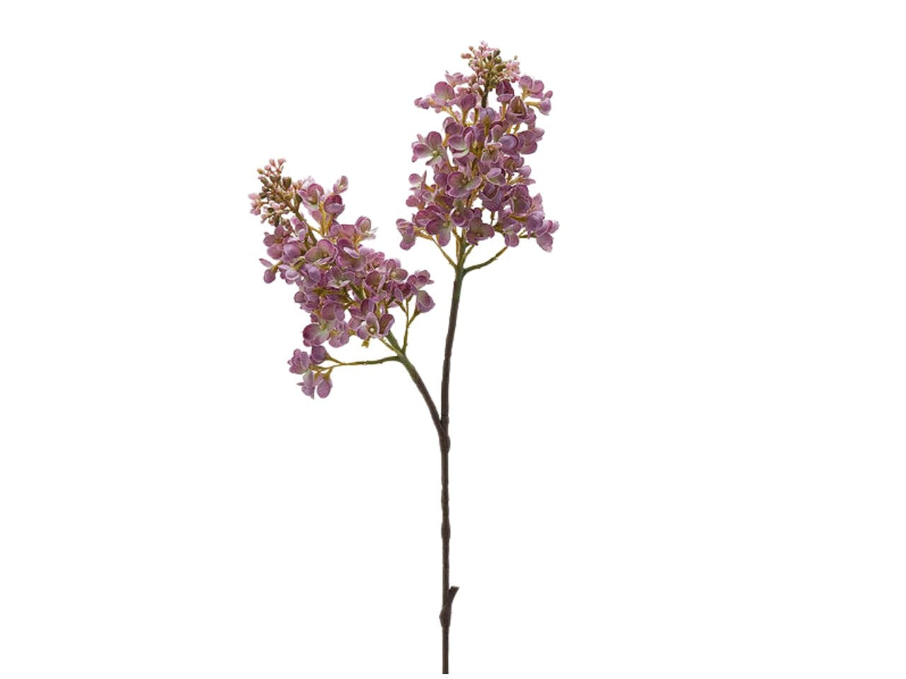Lillà malva artificiale stelo con due rami in plastica - 68cm - Enzo De Gasperi