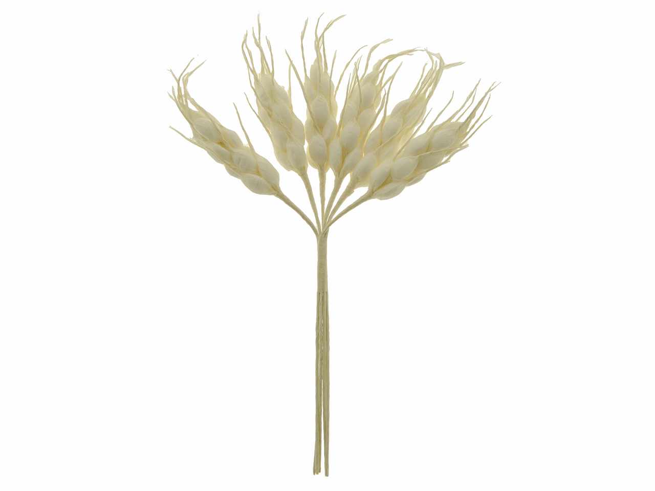 Spiga colore naturale 6cm 72 pezzi