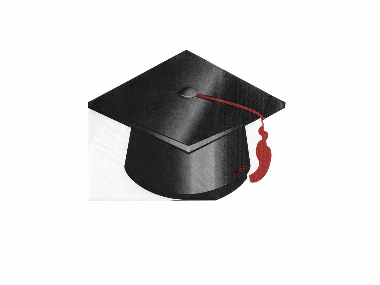 Tovaglioli sagomati laurea 16 pezzi 33x25cm64115