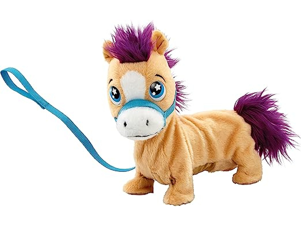 Pumpkin il pony shetland