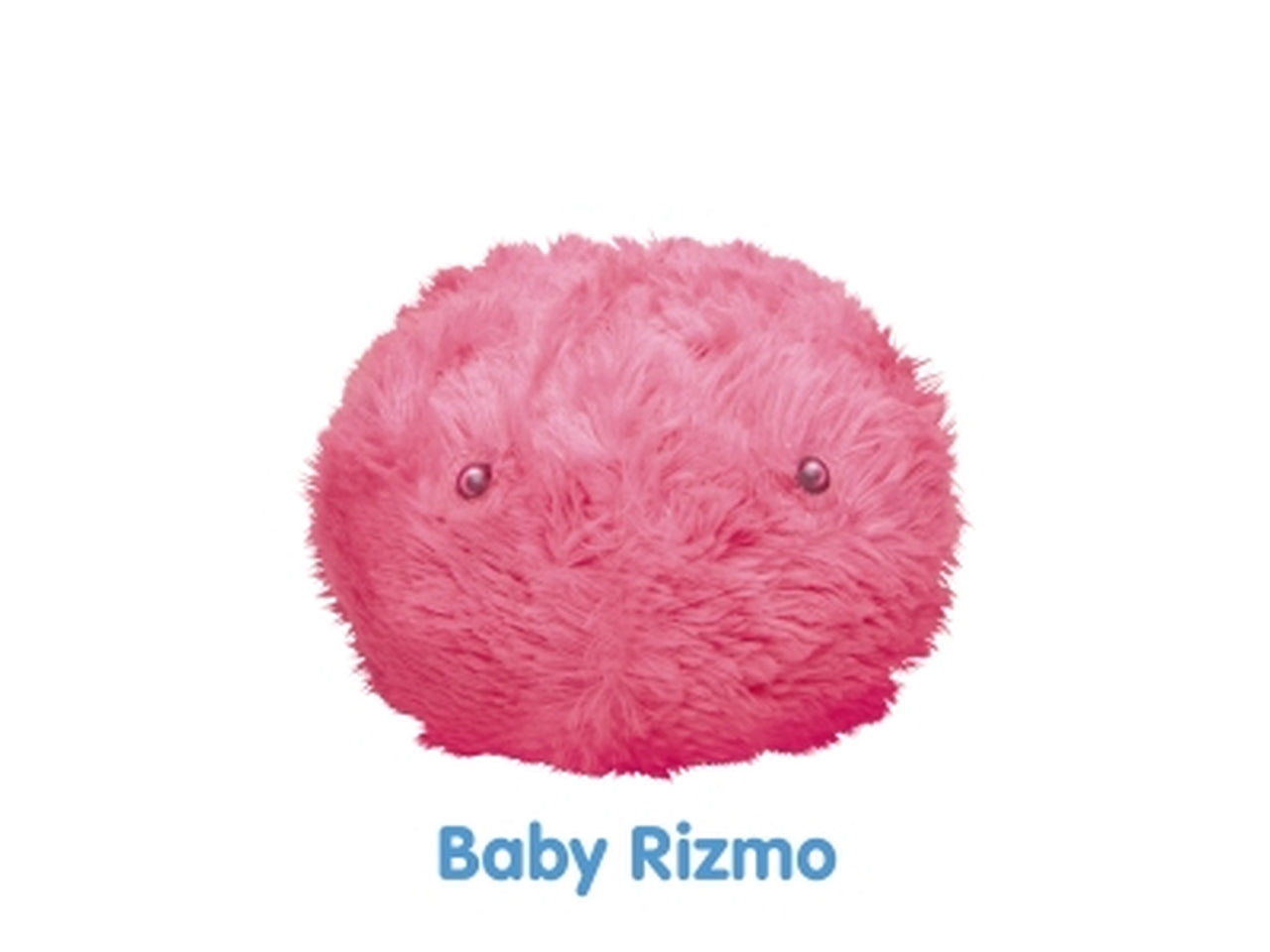 Rizmo rrm00000 §10 $