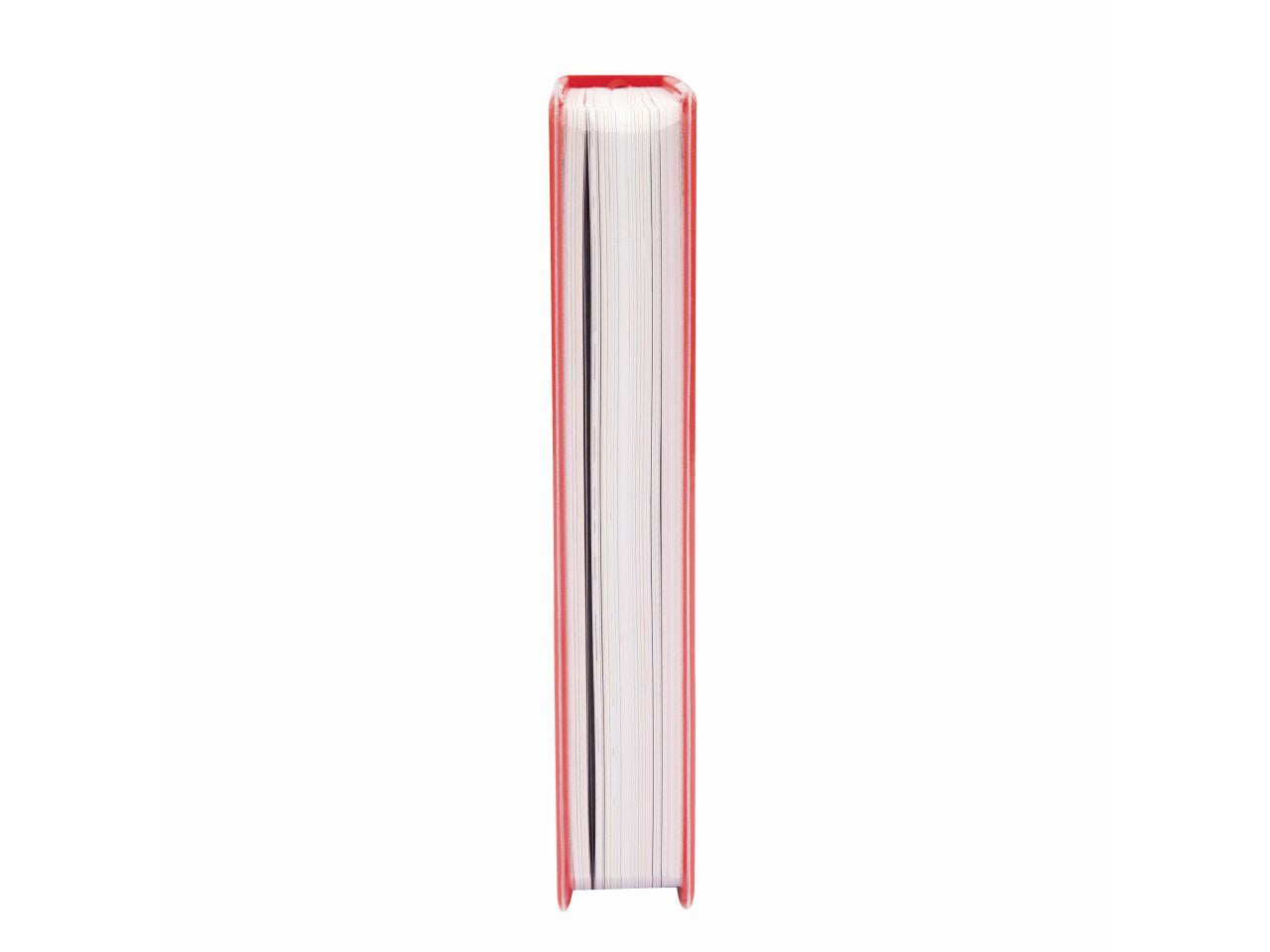 Beyou 23 24 agenda color matter $