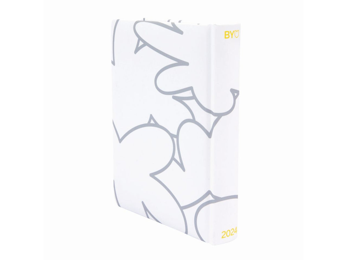 Beyou 23 24 agenda color matter $