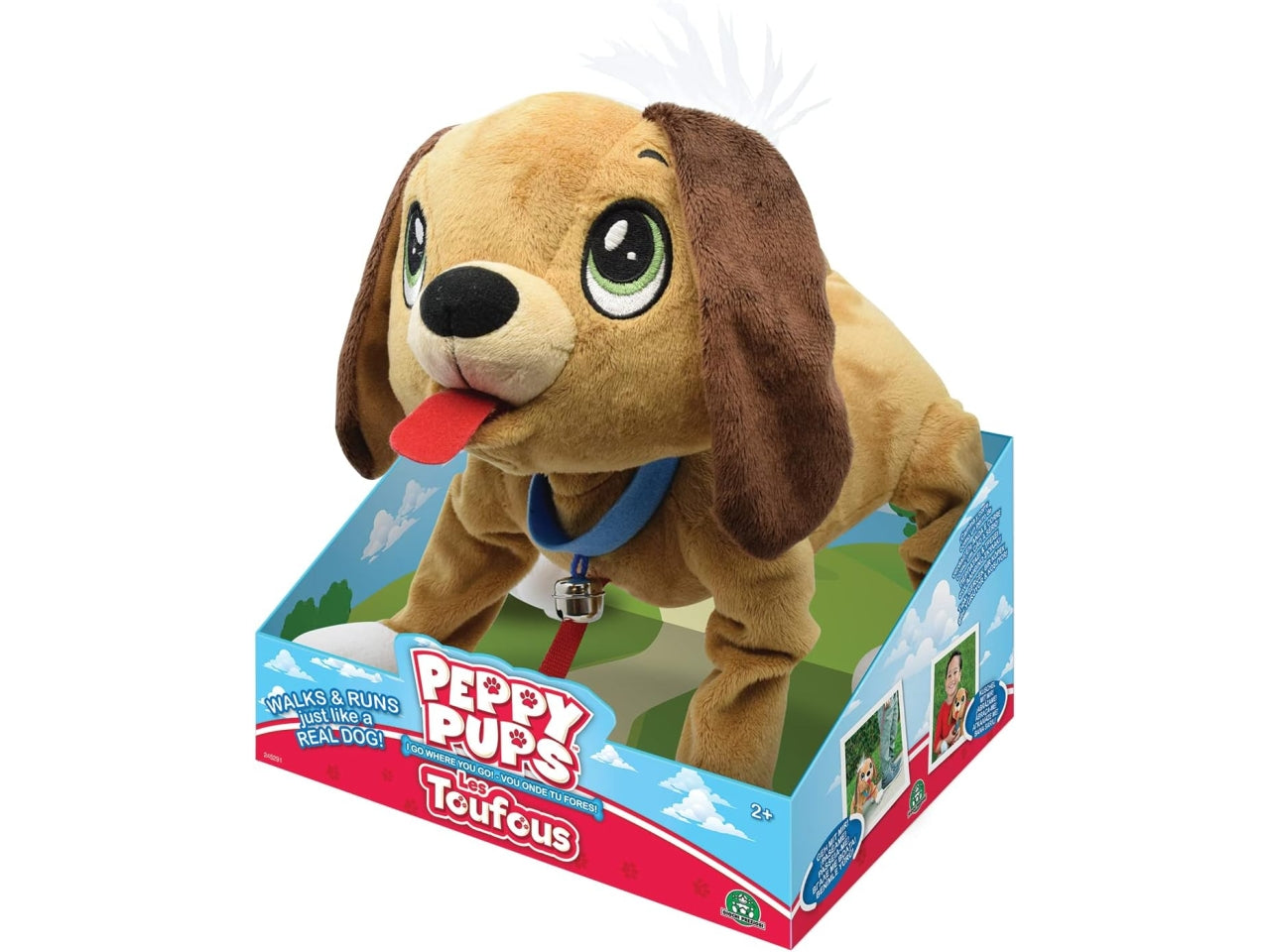 Peppy pups brown dog $