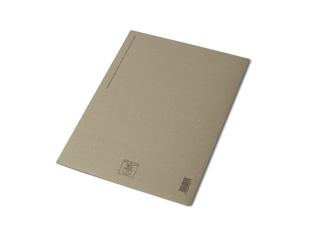 Cartelle semplici eco 50 pezzi 0221803gr