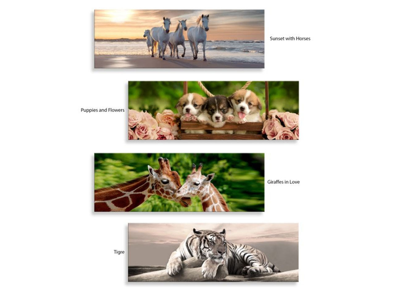 Quadro deep day misura 38x110cm animals united