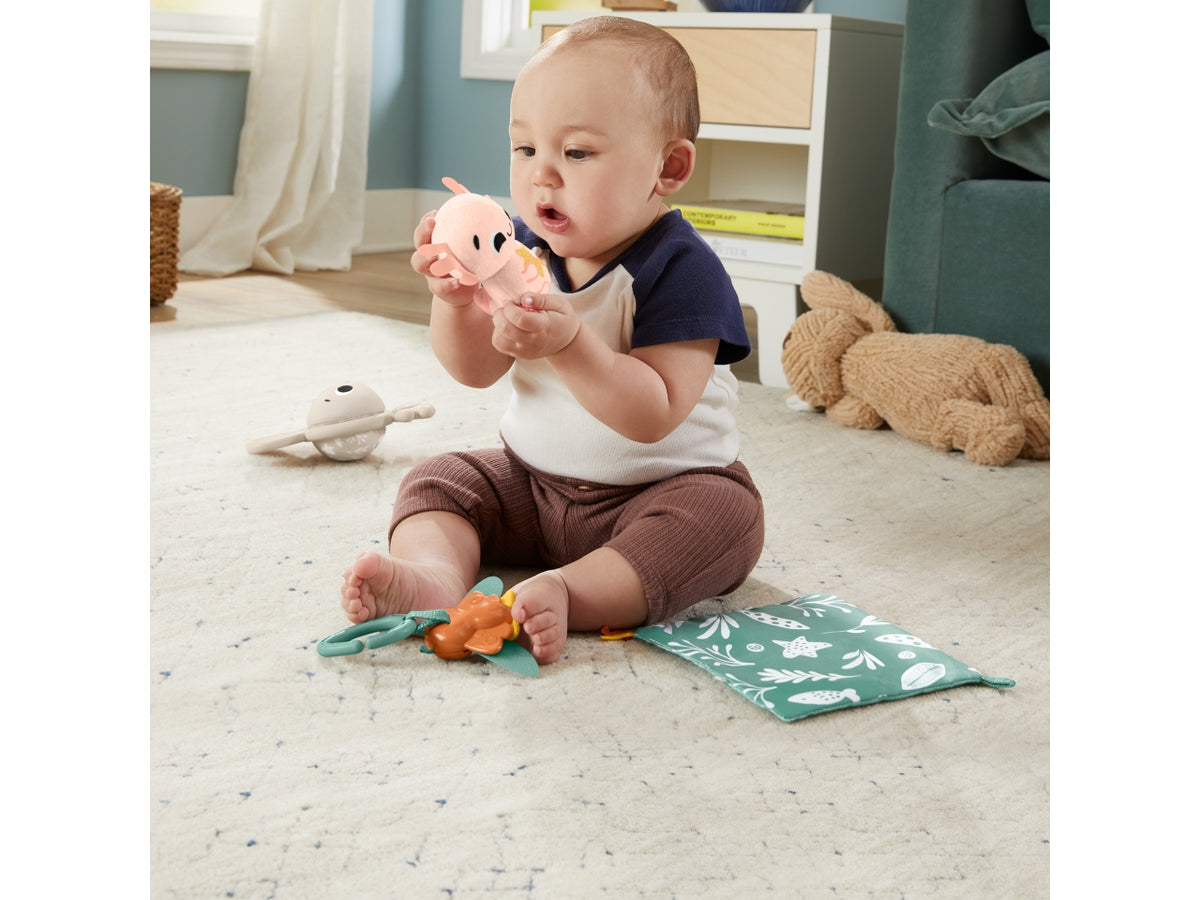 Fisher-price kit regalo