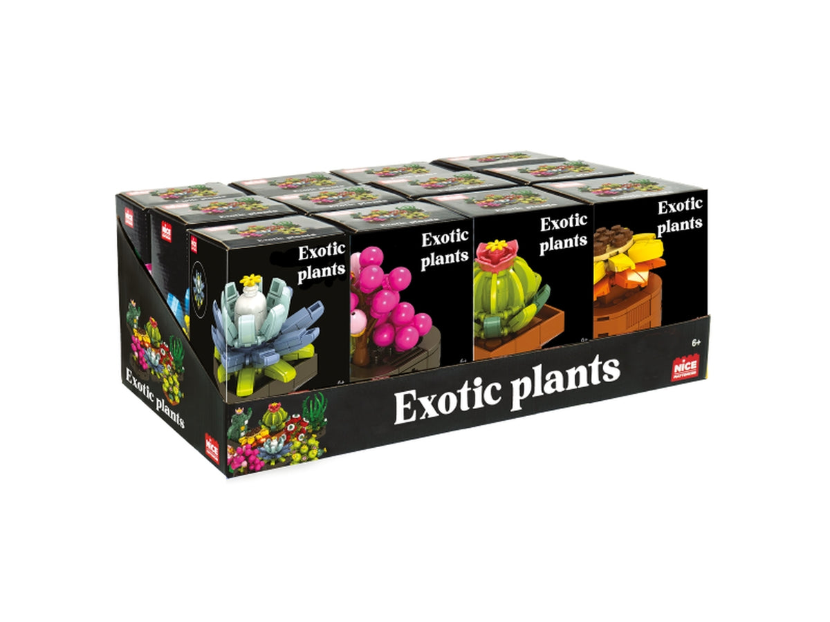 Mattoncini exotic plants $