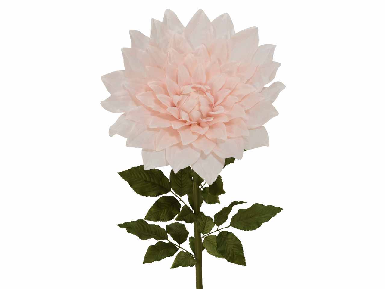 Dalia h.145cm rosa 801438
