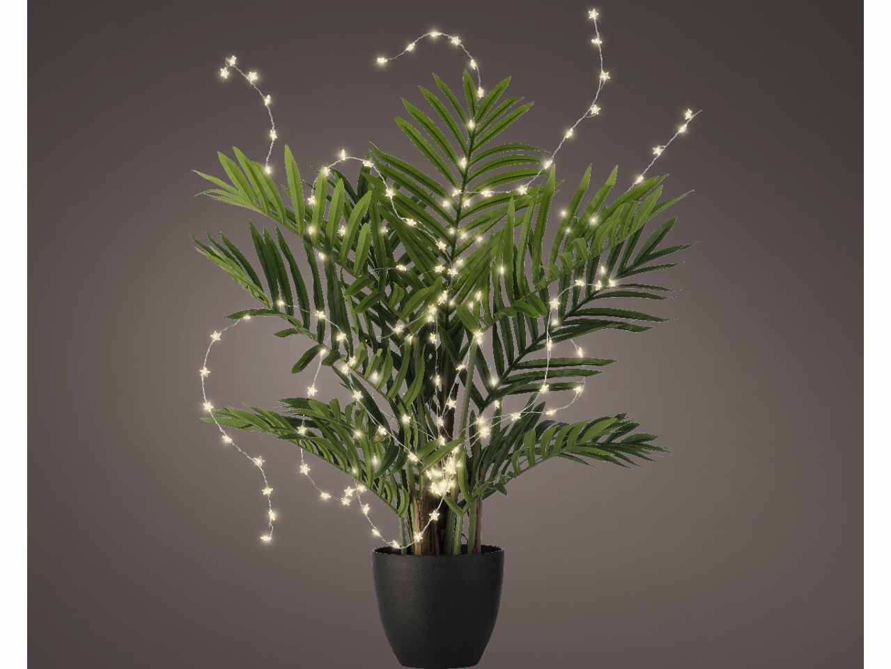 Catena luci 40 micro led 40cm bianco caldo con funzionamento a batteria uso esterno $