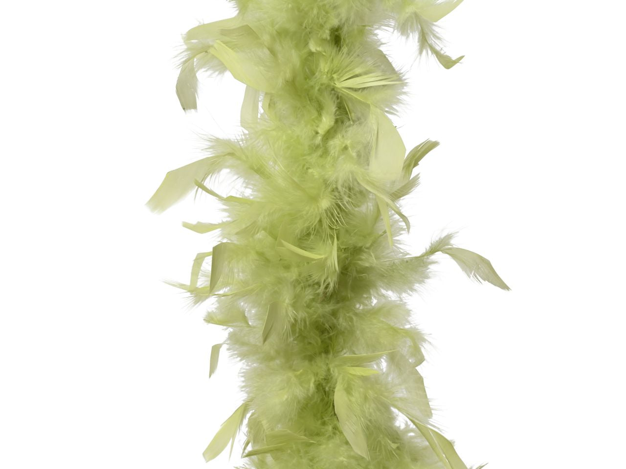 Boa di piume colore pistacchio misura lun.15cm x lar.15cm x alt.184cm
d.15cm