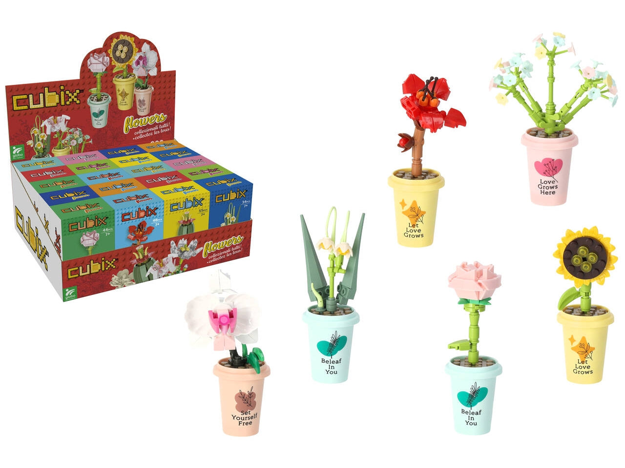 Cubix vasetto con pianta 10 assortiti con 20pezzi
