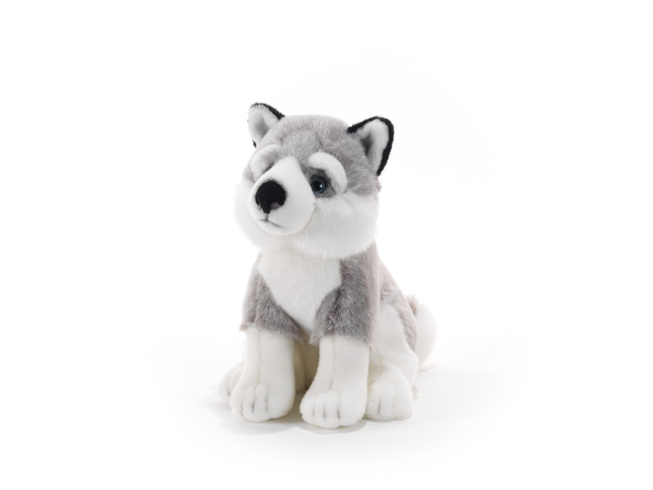Peluche tomsky husky siberiano misura h.29cm